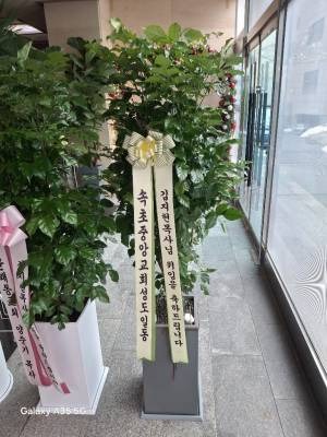 캸ȭ ۰ Դϴ
